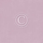 PIO Cardstock - New Beginnings Little Things