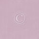 PIO Cardstock - New Beginnings Little Things