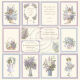 PIO Cardstock - New Beginnings Images from the Past I