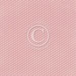 PIO Cardstock - Seaside Stories Songbird