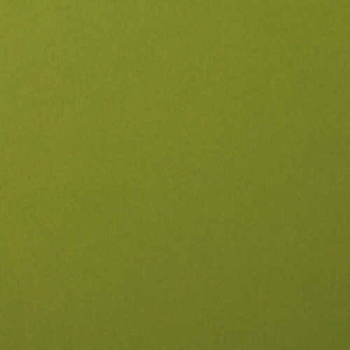 SRH Cardstock 12" x 12" - Olive Smooth