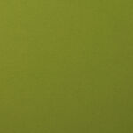 SRH Cardstock 12" x 12" - Olive Smooth