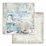 STP Paper Pad 12x12" - Arctic Antartic