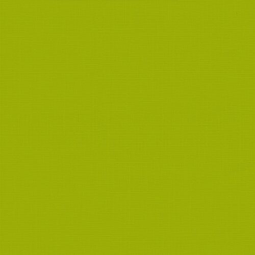 KSA Cardstock Uni 12"x12" - Vert Celadon