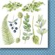 PPV Paper Pack 6"x6"- Berry Hunt Cut-Outs