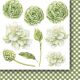 PPV Paper Pack 6"x6"- Berry Hunt Cut-Outs