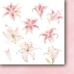 PPV Paper Pack 6"x6"- Scent of Paradise Cut-Outs