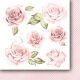 PPV Paper Pack 6"x6"- Scent of Paradise Cut-Outs