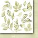PPV Paper Pack 6"x6"- Scent of Paradise Cut-Outs