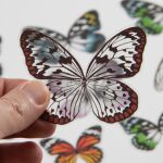 THZ Embellishment - Idea-Ology Transparent Acetate Wings