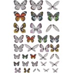 THZ Embellishment - Idea-Ology Transparent Acetate Wings