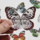 THZ Embellishment - Idea-Ology Transparent Acetate Wings