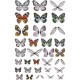 THZ Embellishment - Idea-Ology Transparent Acetate Wings
