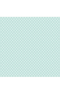 CRD Cardstock - Light Aqua Large Dot