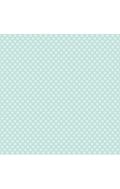 CRD Cardstock - Light Aqua Large Dot