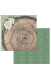 BOB Cardstock - Garden Party Rustic