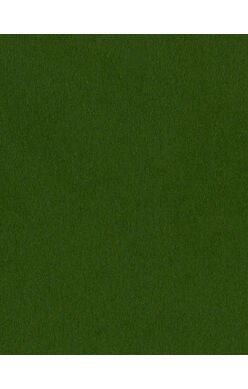 Bazzill Cardstock 8.5"x11" Grüntöne - Forest Smoothie 10 Bogen