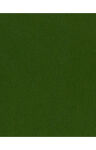 Bazzill Cardstock 8.5"x11" Grüntöne -...