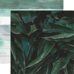 KSC Cardstock - Lily & Moss Ombre