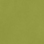 AMC Cardstock 8.5"x11" - Leaf Smoothie 10 Bogen