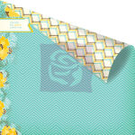 PRM Cardstock - Wishes & Dreams Invincible