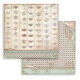 STP Paper Pad 12x12" - Alice Through the Looking Glass