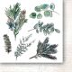 PPV Paper Pack 6"x6"- A Christmas Garland Flowers and Ornaments Cut-Outs