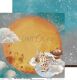 CCL Paper Pack 12"x12" - On the Wings of Fantasy Set