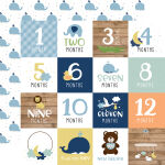 ECP Cardstock - Baby Boy Mile Cards