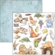 CBL Paper Pad 12x12" - Aesops Fables 12BL