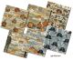 DCR Paper Pack 8x8" - Gentleman