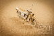 LSL Chipboard-Shapes/Laserstanzteile - 3D Motorrad