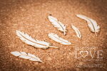 LSL Chipboard-Shapes/Laserstanzteile - Federn Feathers...