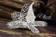 SNI Chipboard-Shapes/Laserstanzteile - Elf on the Shelf  Elf on a fir tree #2