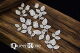 SNI Chipboard-Shapes/Laserstanzteile - Queen Rose Rose Buds and Leaves