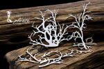 SNI Chipboard-Shapes/Laserstanzteile - Witch Please...