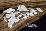 SNI Chipboard-Shapes/Laserstanzteile - Sea Treasure...