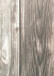 13ARTS Collection-Set A4 - Amour