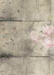 13ARTS Collection-Set A4 - Amour
