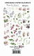 13ARTS Ephemera - Magnolia Dreams