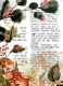 13ARTS Paper Pack A6 - End of Summer