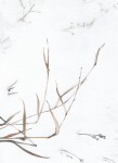 13ARTS Paper Pack A6 - Dreamland