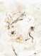 13ARTS Paper Pack A6 - Dreamland
