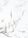 13ARTS Paper Pack A6 - Dreamland