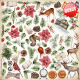 FDC Paper Pack 12x12" - Winter Wonders