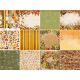FDC Paper Pack 12x12" - Autumn Botanical Diary