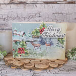 FDC Karten Kit - Winter Wonders