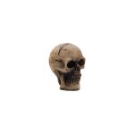 THZ Embellishment - Idea-ology Halloween Skulls