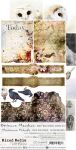 CCL Paper Pack 6"x12" - Junk Journal Set Ominous Marshes