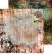 CCL Paper Pack 12"x12" - Wings of Freedom